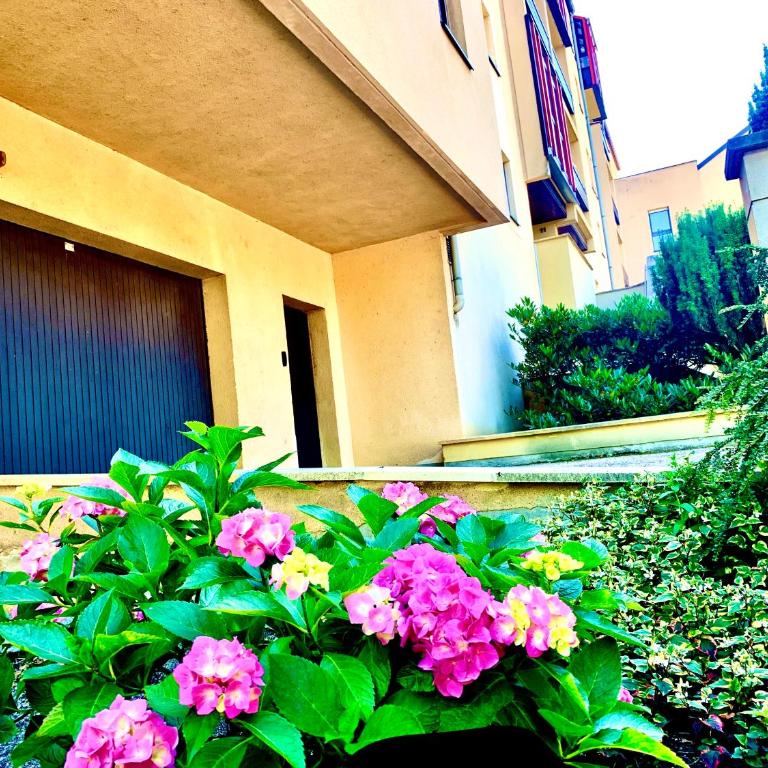 L'appart Moulin des Thermes Metz - Appartement 1 Chambre - 25