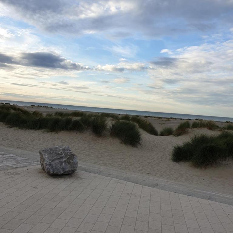appartement malo les bains plage - Appartement 1 Chambre - 1