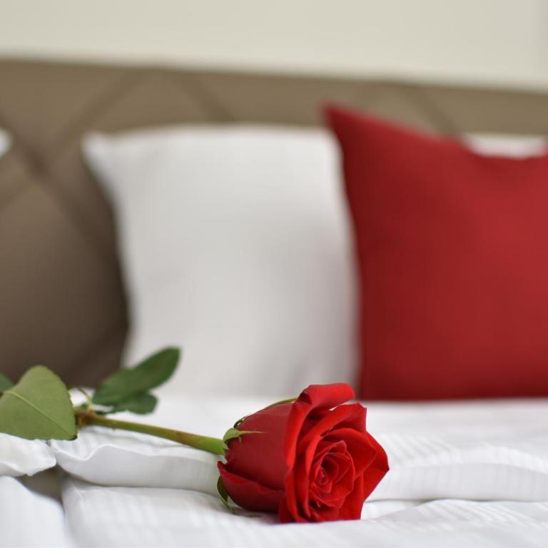 Hotel Slavija Banja Luka - Dvokrevetna Soba sa Bračnim Krevetom - 14