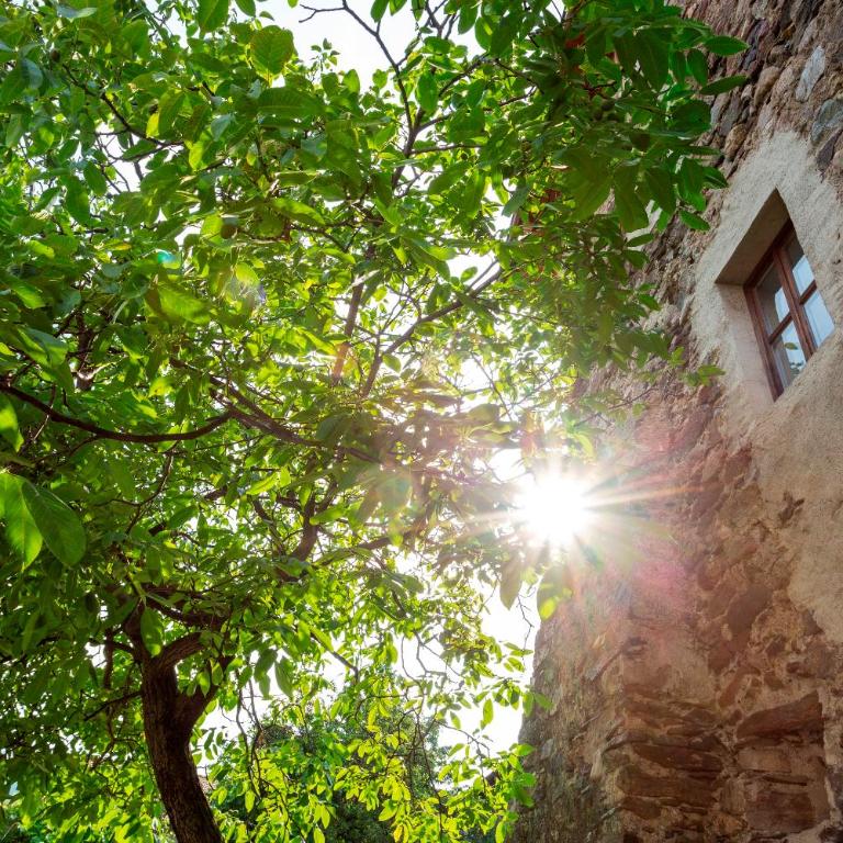 Historic Homes Zafig - Loft - 7