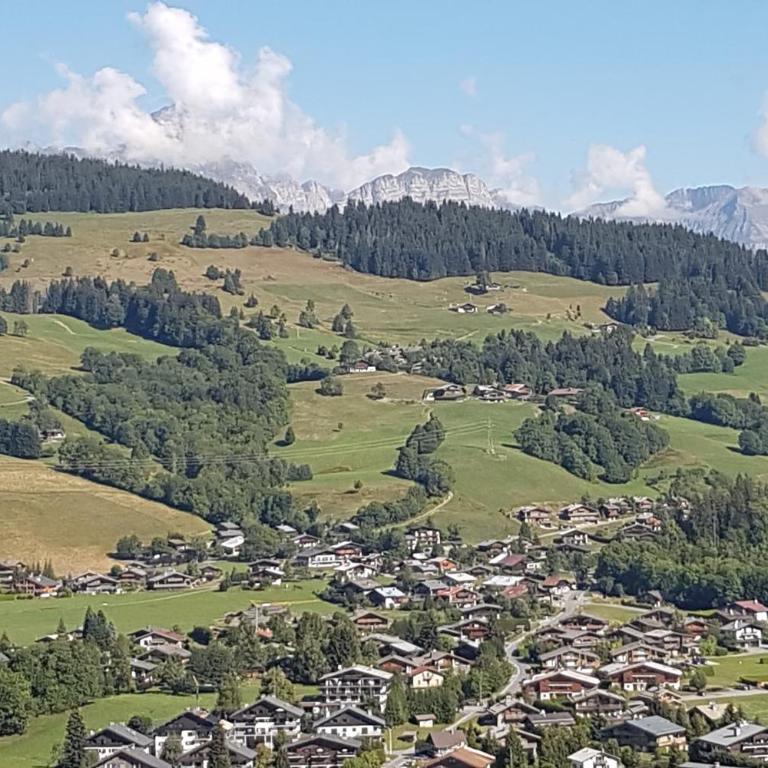 Appartement Megève - Welkeys - Appartement - 13