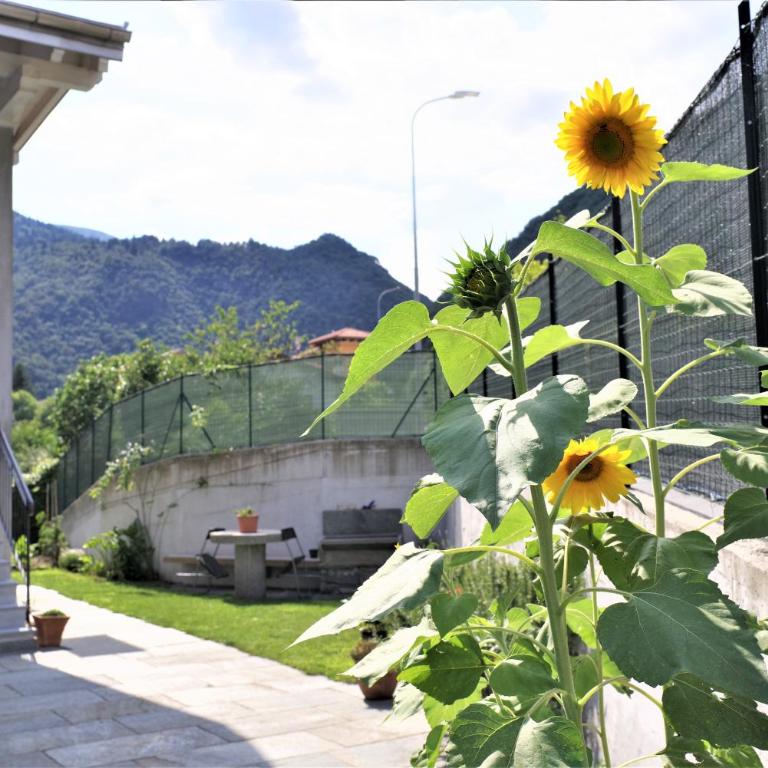 Casa Alice - Appartamento con 2 Camere da Letto - 6