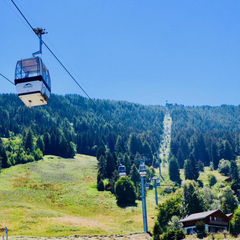 Le Cret Haute Nendaz - Apartment - 33