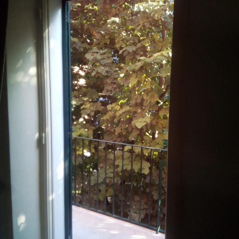 Lilium Lecce Centro - Appartamento - 14