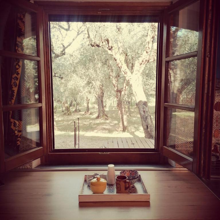 Casina Versilia - Studio-Apartment - 12