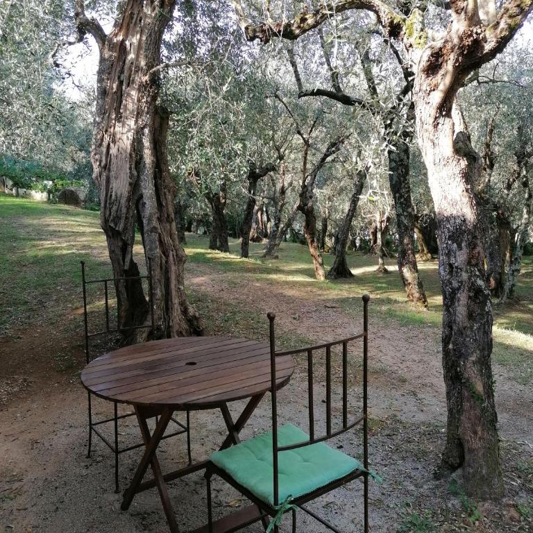 Casina Versilia - Studio-Apartment - 11