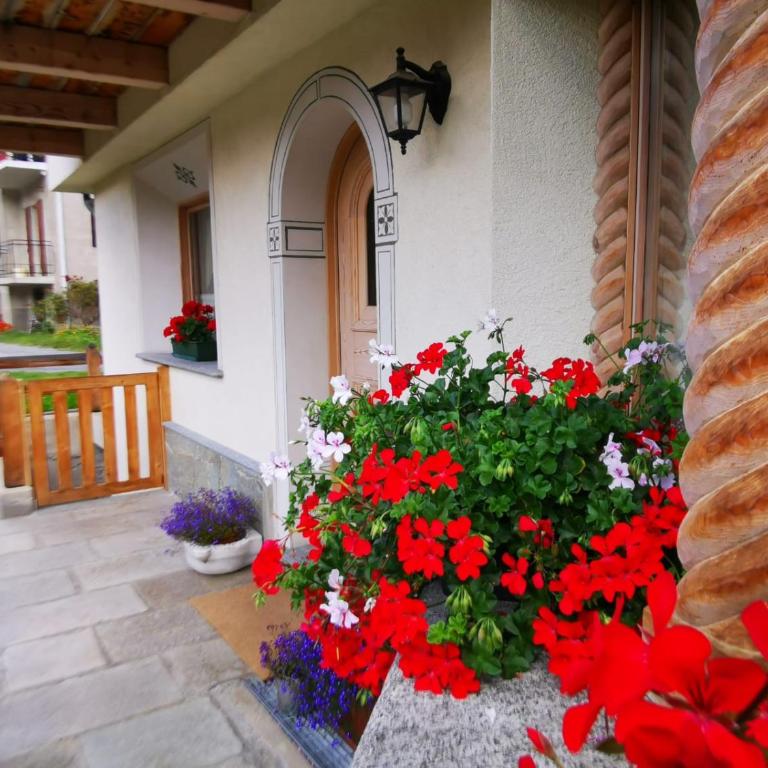 Chalet Ceppo - Casa Vacanze - 8