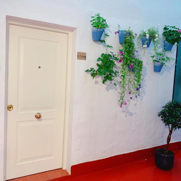Home up Qurtuba - Estudio Familiar - 1