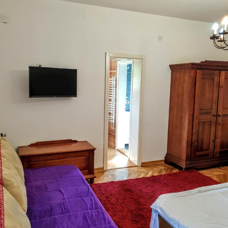 Vila Katarina - Studio s King-sajz Krevetom i Sofom na Izvlačenje - 28