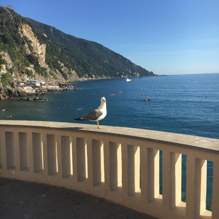 B&B Casetta del Marinaio - Camera Matrimoniale con Vista Mare - 34