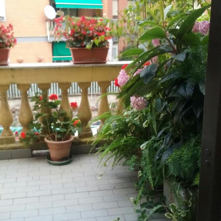 Sabini Rentals - Affittacamere - Camera Matrimoniale con Balcone - 4