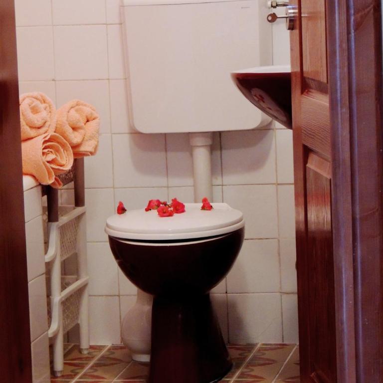 Apartments Djakonovic - Studio sa Balkonom - 1