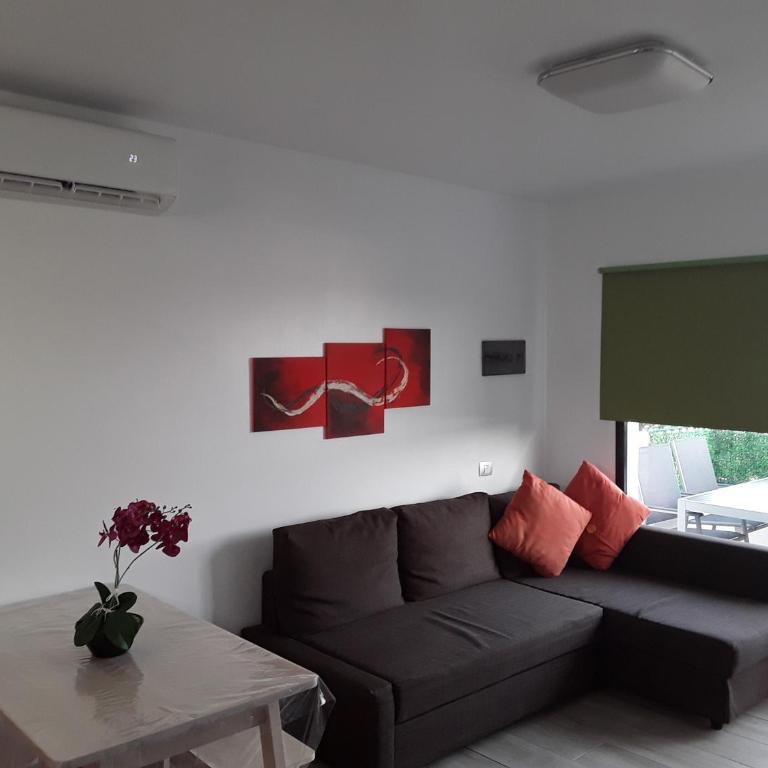 Guaye - Apartment with Terrace - 5