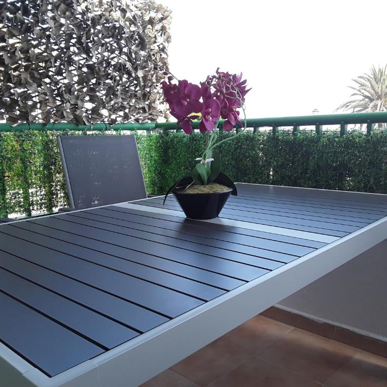 Guaye - Apartment with Terrace - 9