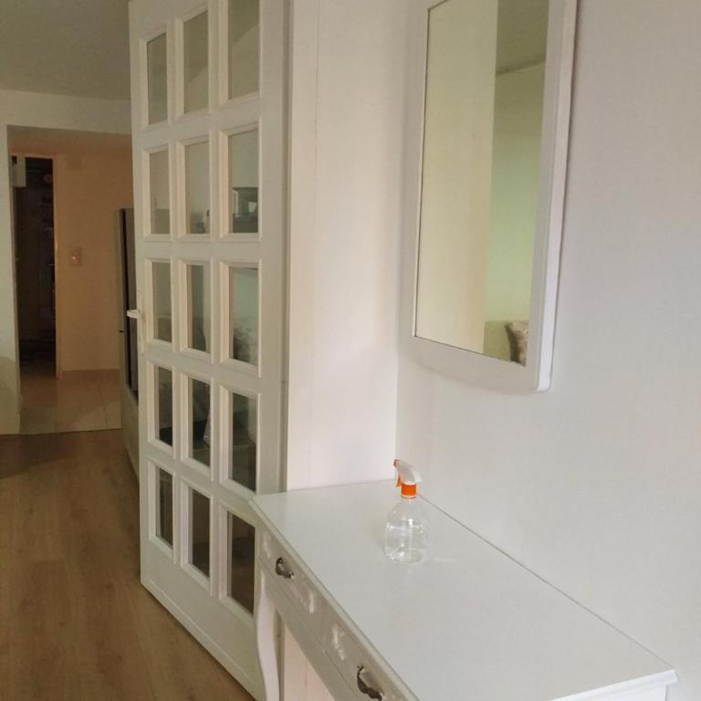 Apartman Popovic - Apartman sa 1 Spavaćom Sobom - 16