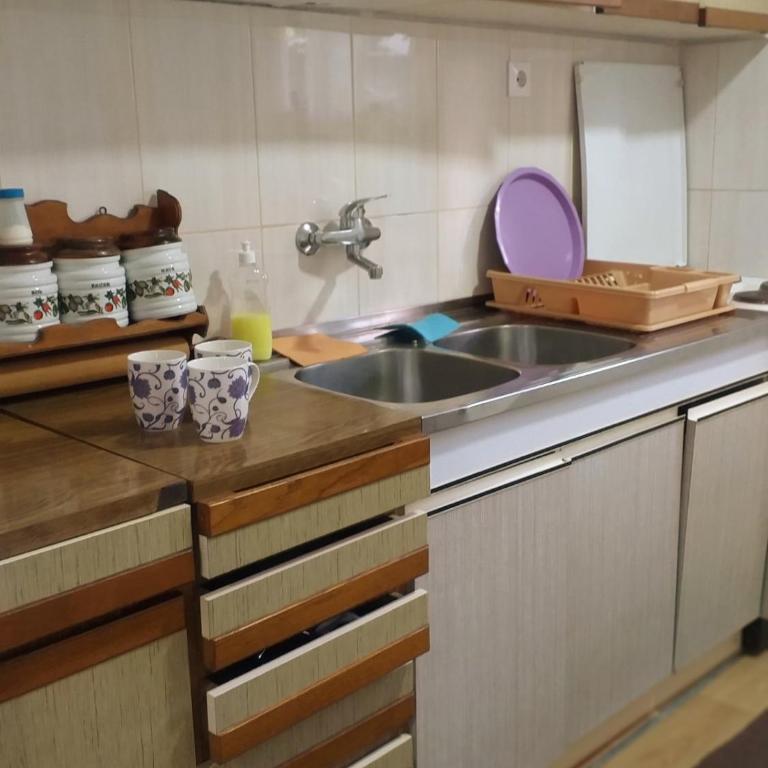 Apartman Popovic - Apartman sa 1 Spavaćom Sobom - 13