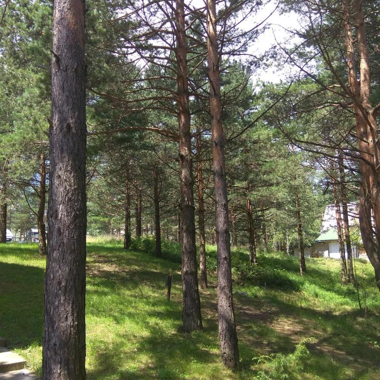 Apartman Rankovic - Apartman sa 1 Spavaćom Sobom - 16