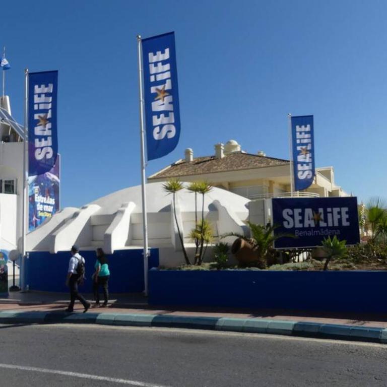 HOLIDAY RENTALS PISCINA, PLAYA PARKING a 5 min caminando del PUERTO DE BENALMADENA - Studio - 35