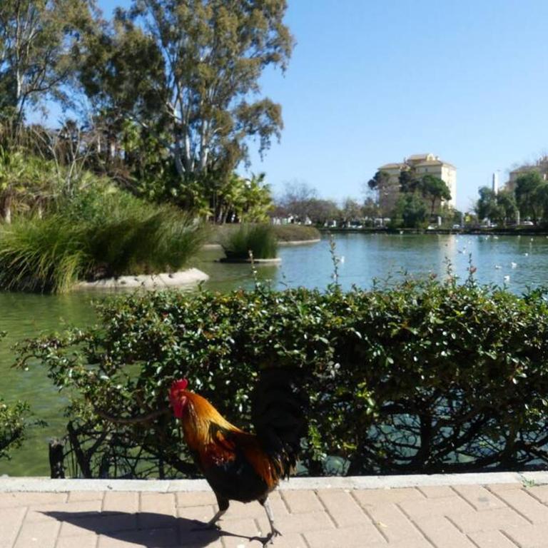 HOLIDAY RENTALS PISCINA, PLAYA PARKING a 5 min caminando del PUERTO DE BENALMADENA - Studio - 43