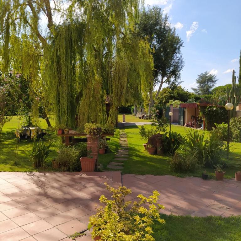 Villa Favilli - Villa - 31