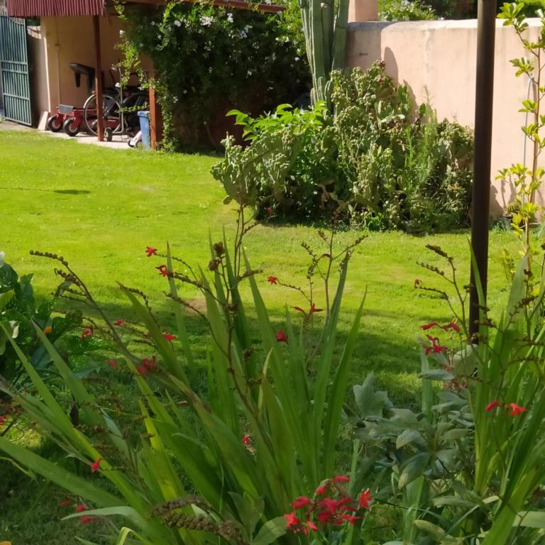 Villa Favilli - Villa - 32