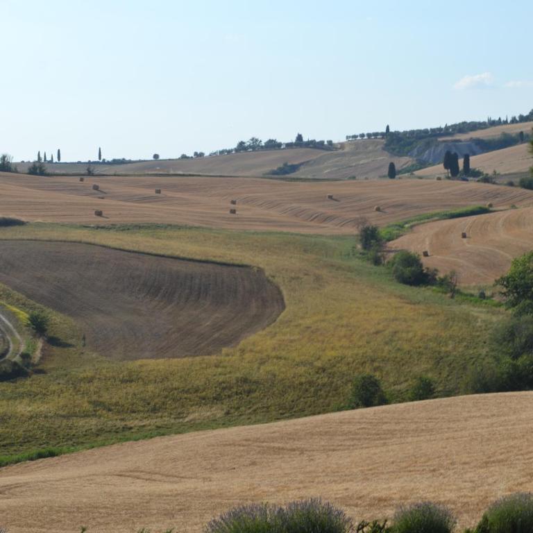 Agriturismo Il Casalino - Appartamento con 2 Camere da Letto - 20