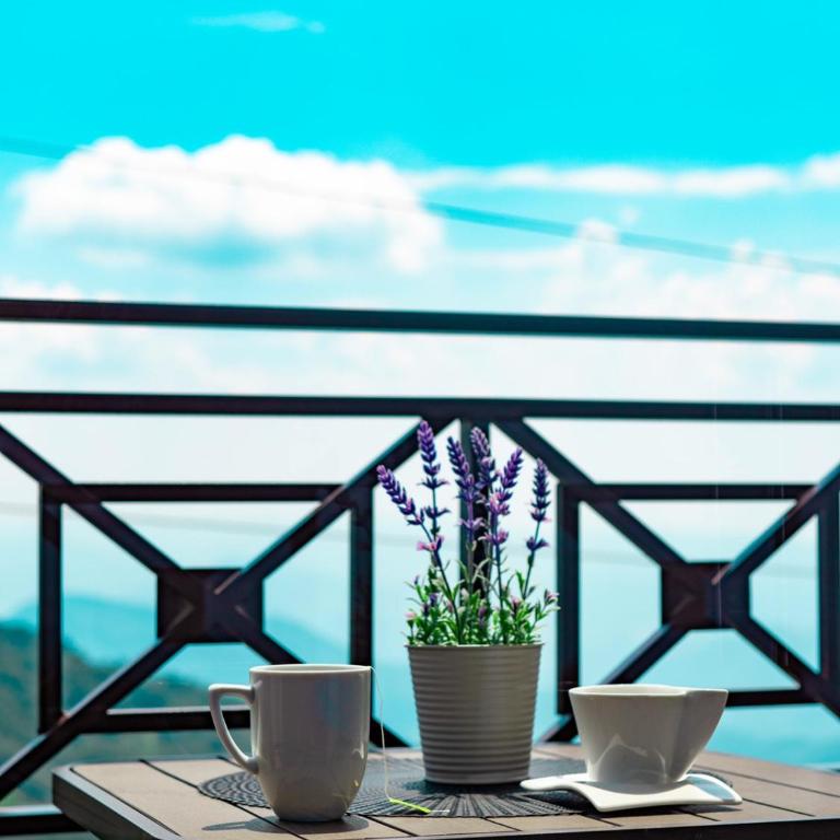 Apartman Sunset Milmari Kopaonik M10 - Apartment with Mountain View - 37