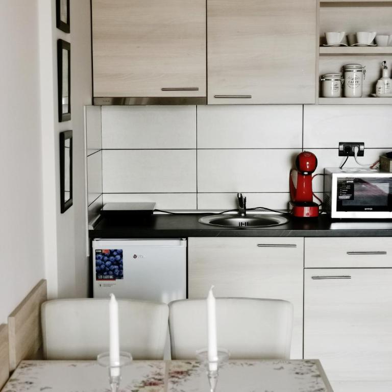 Apartman Sunset Milmari Kopaonik M10 - Apartment with Mountain View - 50