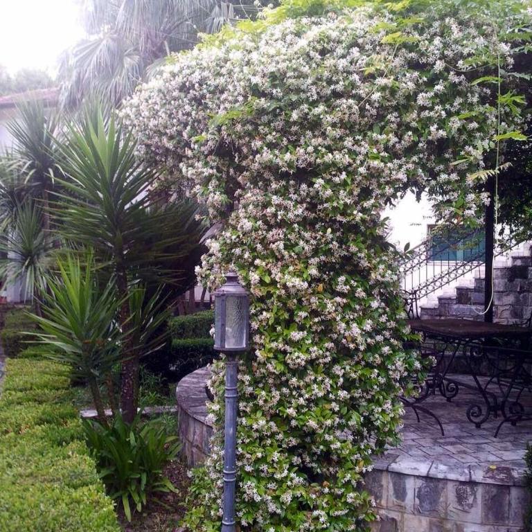 Villa Nautica - Villa - 6