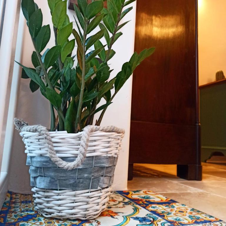 Casetta Elilù - Casa con 1 Camera da Letto - 22