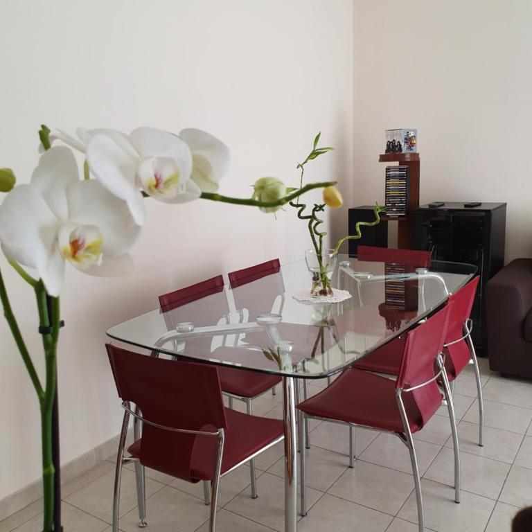 COCO Apartments - Apartment - 17