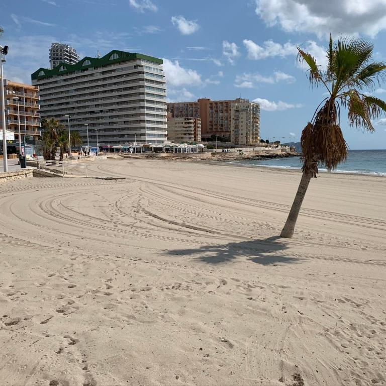 SERVICE APART LAZARO- Apartamentos Aguamarina 26 - Apartamento de 2 dormitorios - 27