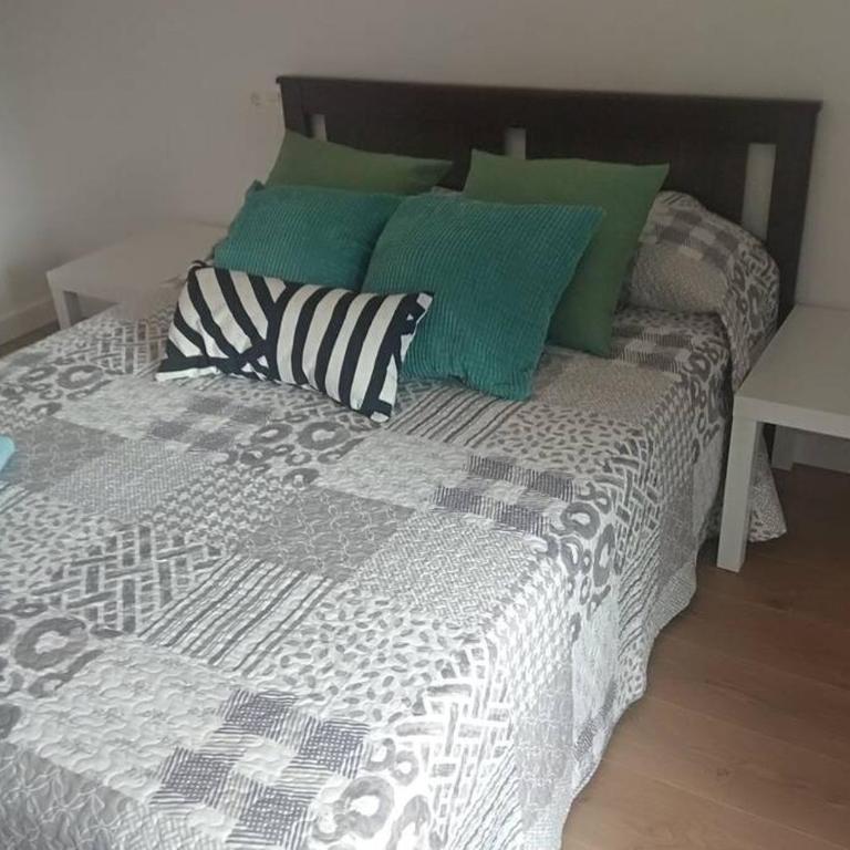 PLAZA CENTRAL CANGAS DE Onís - Apartamento de 3 dormitorios - 11
