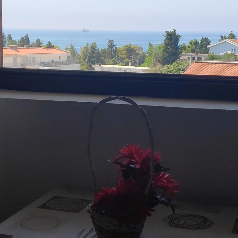Apartmani Vitic - Studio with Sea View - 6