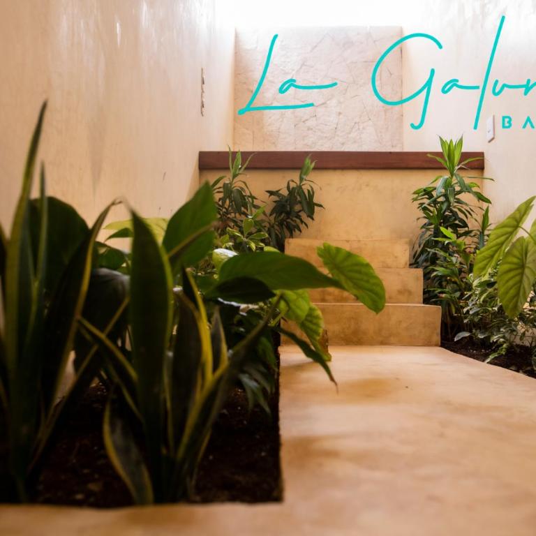 La Galuna Bacalar - Suite con bañera de hidromasaje - 17