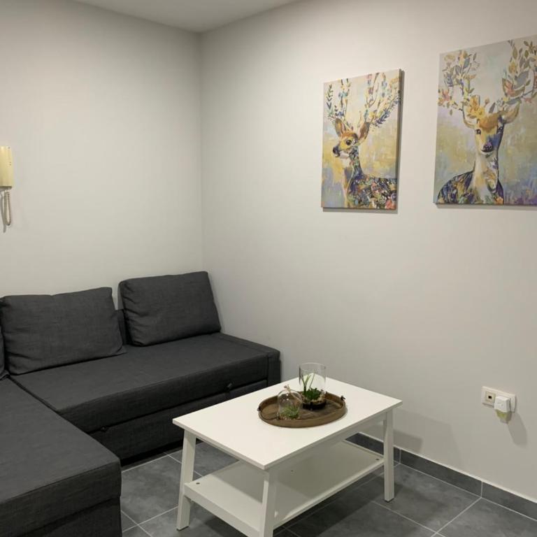 Apartamento centrico en Puerto del Rosario - Apartamento de 1 dormitorio - 8