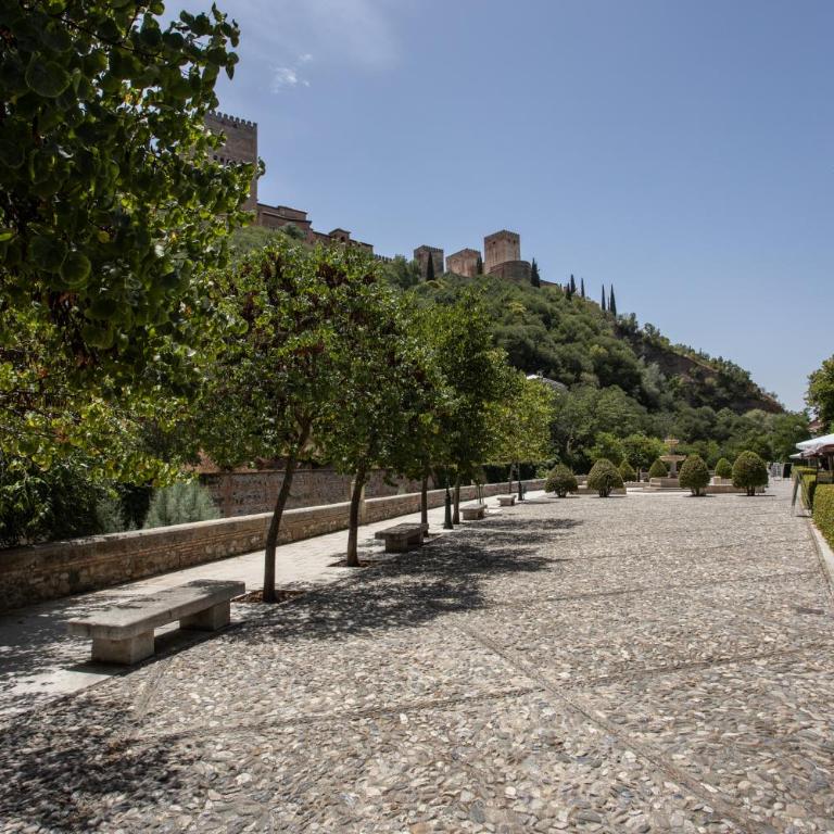INOLVIDABLES VISTAS a LA ALHAMBRA, - One-Bedroom Apartment - 48