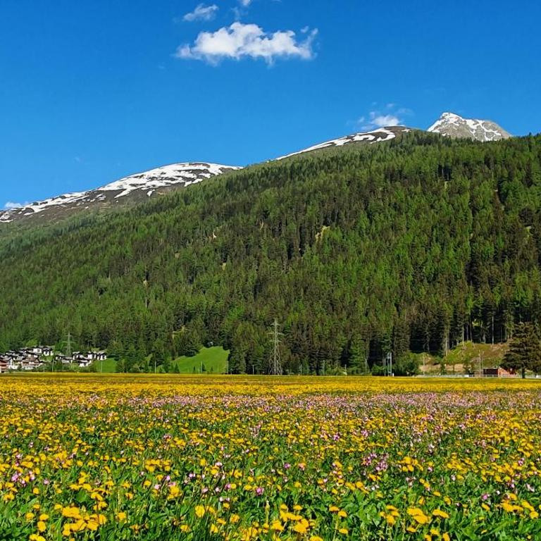 Chalet Breithorn- Perfect for Holiday with Amazing View! - Loft-Apartment B mit Whirlpool - 25
