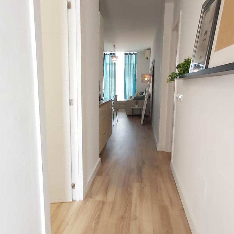 Malaga Centro Terraza - Apartamento con terraza - Ático - 24