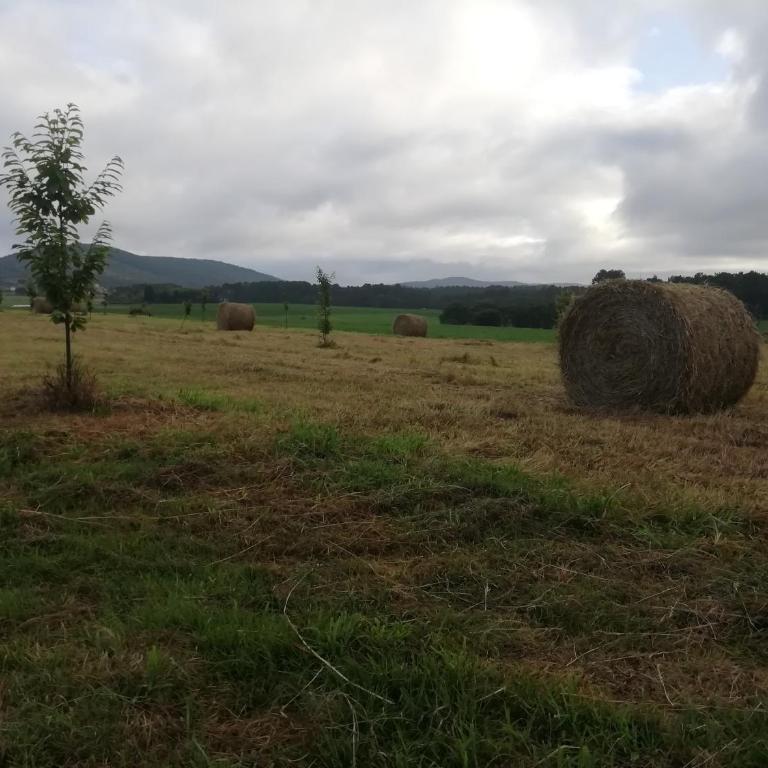 Casita vacacional 5 rutas en el rural Costa Da Morte - Apartamento de 1 dormitorio - 41