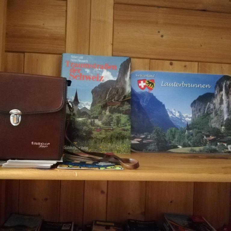Lauterbrunnen Staubbach Beautiful Waterfall Apartment - Apartment mit 3 Schlafzimmern - 37