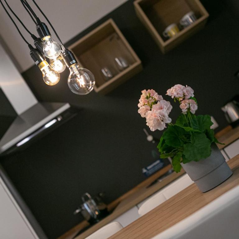 Apartment Central - Appartamento Superior con Balcone - 12