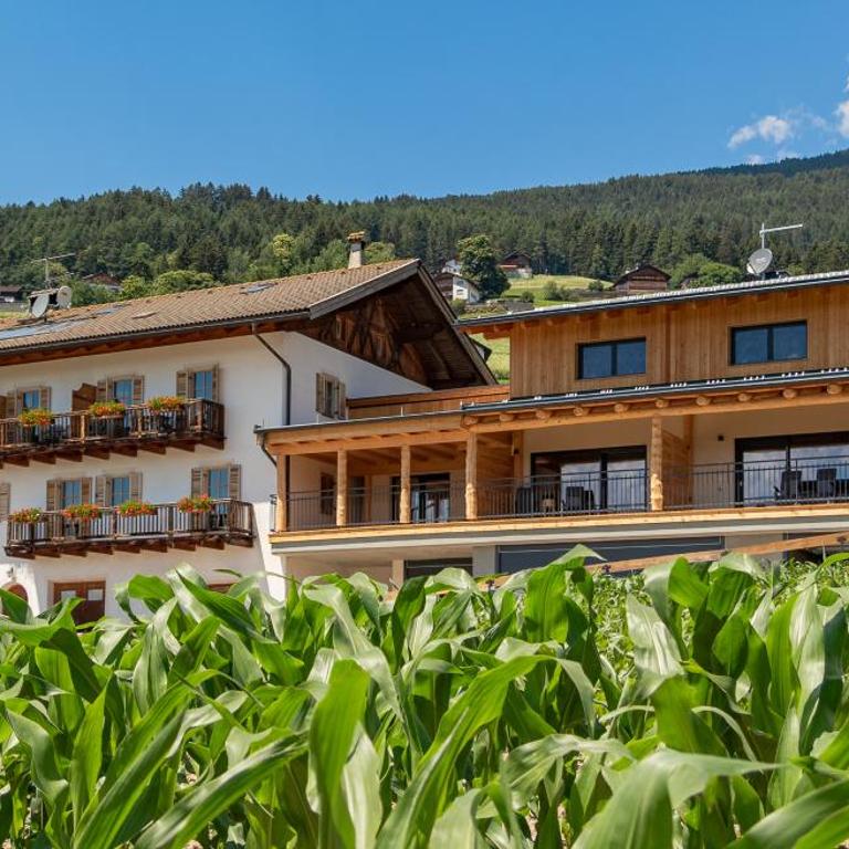Schweiggerhof -Agriturismo- Farm Holidays - Appartamento - 1