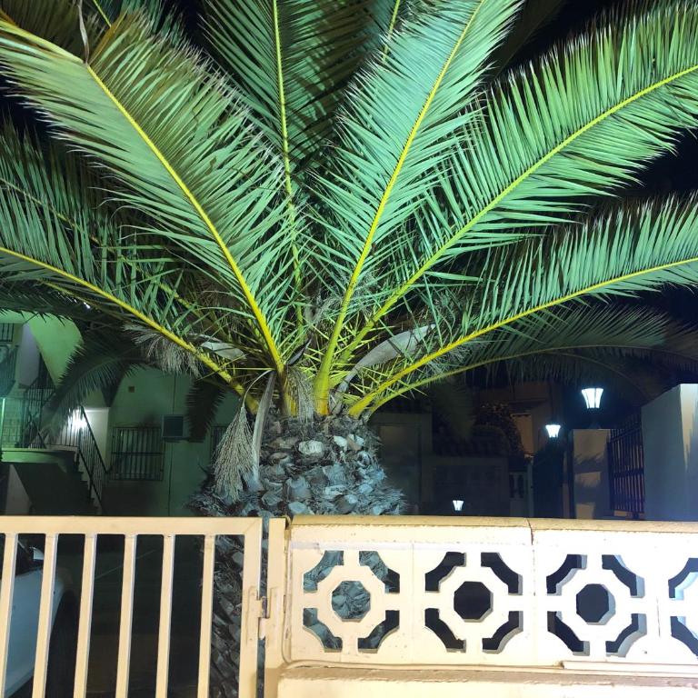 Saint James Park downstairs - Apartamento - 11