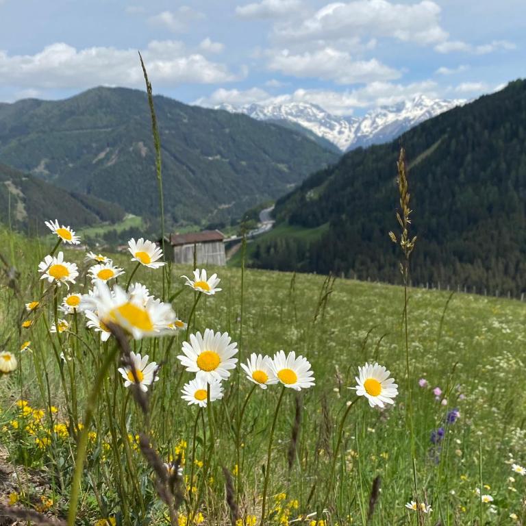 Exklusive Penthousewohnung mit Tesla-Wallbox in Innsbruck - Apartment mit 2 Schlafzimmern - 29