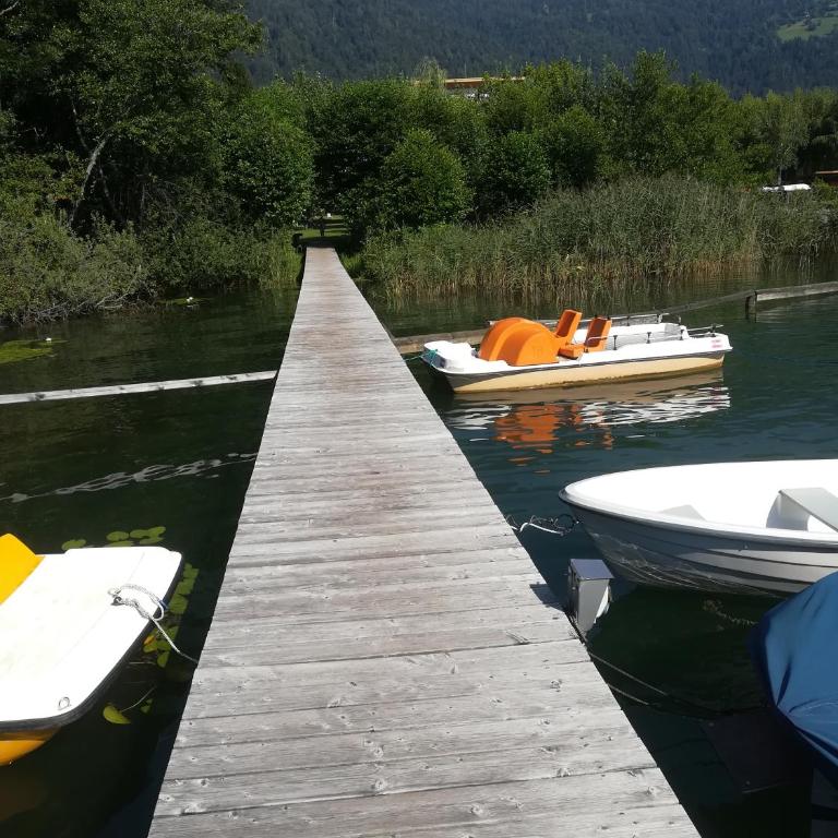 Seeappartment Regina Bodensdorf am Ossiacher See am Fuße der Gerlitzen - Apartment mit 1 Schlafzimmer - 21