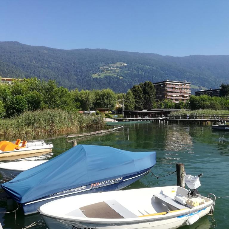Seeappartment Regina Bodensdorf am Ossiacher See am Fuße der Gerlitzen - Apartment mit 1 Schlafzimmer - 20