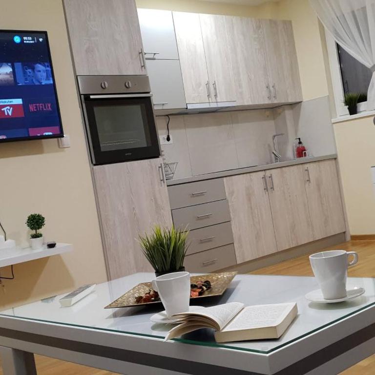 SkyNet Apartments - Apartman sa 1 Spavaćom Sobom - 6