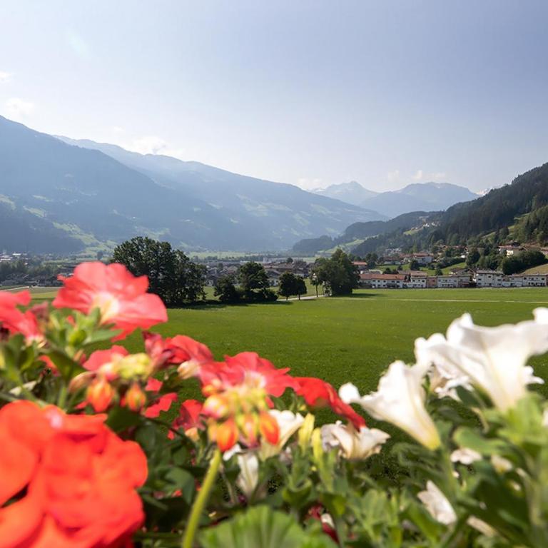 Hotel Pension*** Wiesenhof - Studio - 5