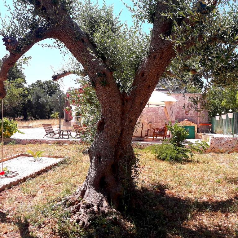Villa Il Leccio - Trulli - Casa a Schiera con 2 Camere da Letto - 44
